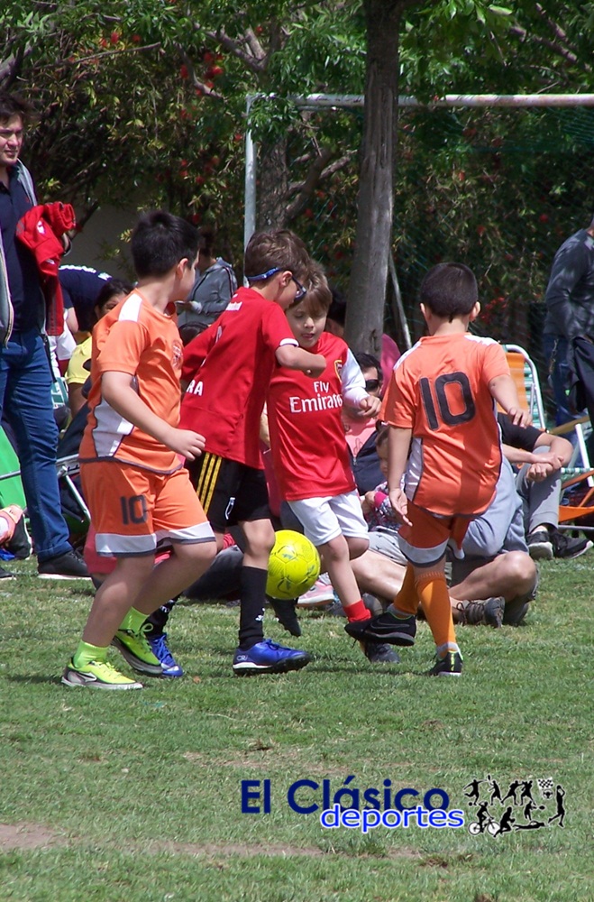 Lee más sobre el artículo Masivo encuentro de escuelas de fútbol en Mitre
