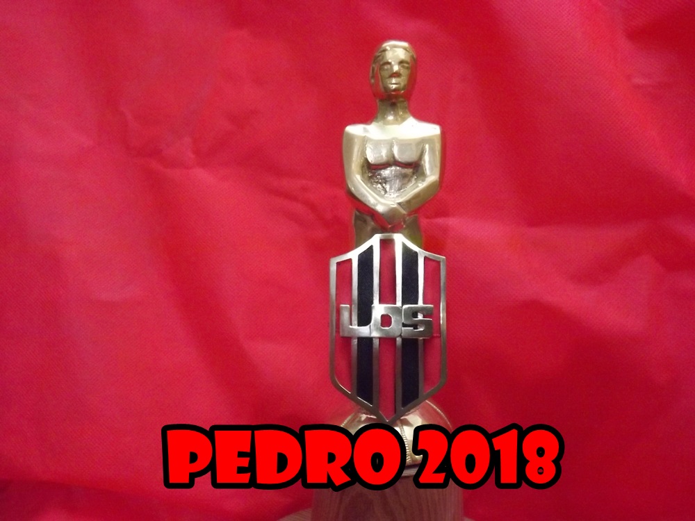 En este momento estás viendo Pedro 2018: El listado de premiados