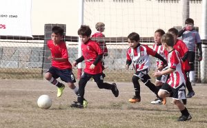 Lee más sobre el artículo Fútbol Infantil: Los resultados de la 16ta jornada del Apertura