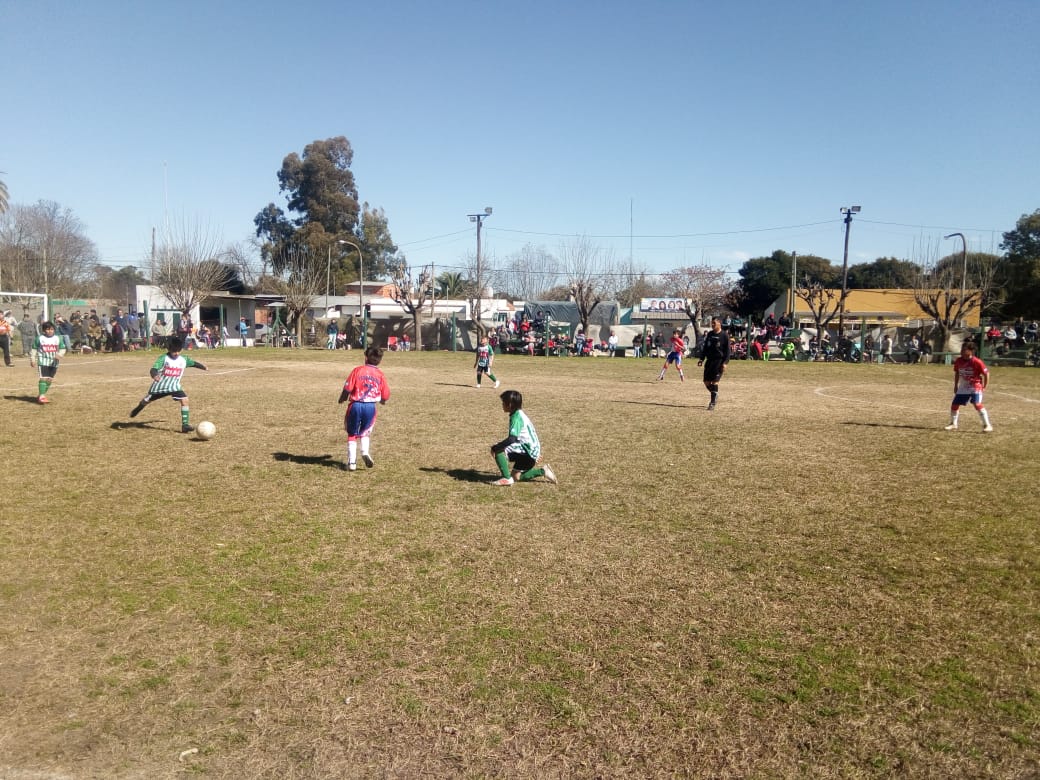 En este momento estás viendo Fútbol Infantil: Los resultados de la fecha 20 del Torneo Apertura