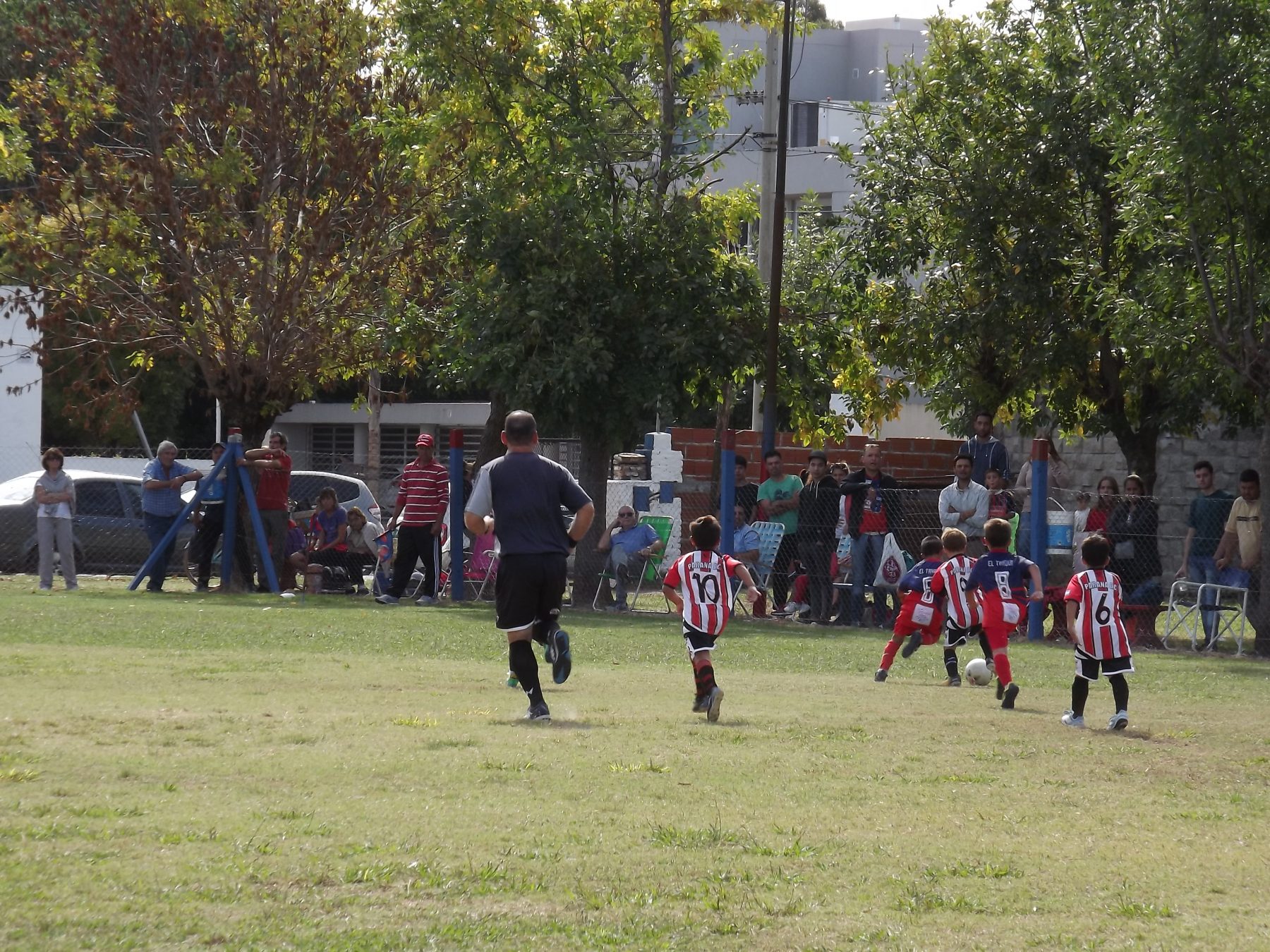 Lee más sobre el artículo Baby fútbol: Las semifinales se jugarán en Agricultores y El Tanque