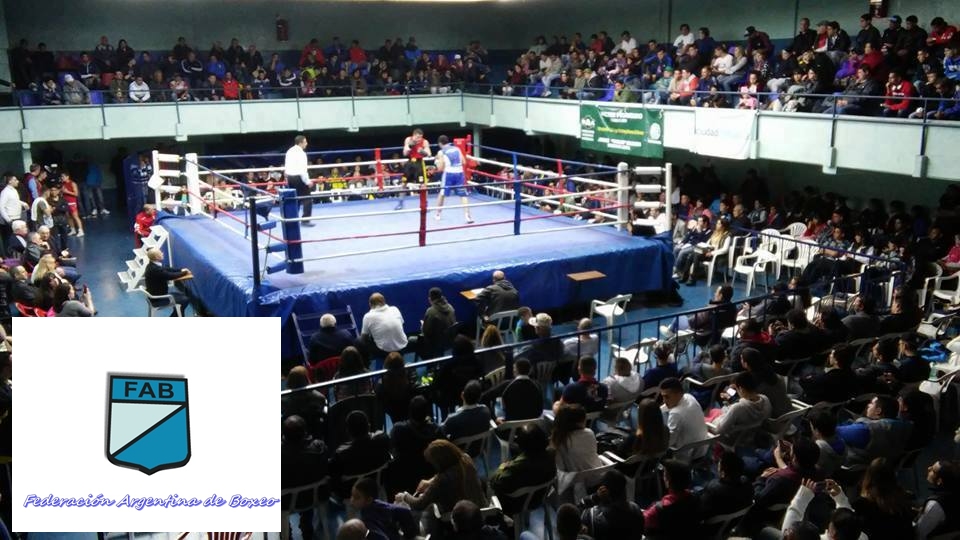 Lee más sobre el artículo La Federación Argentina de Box cumple 100 años