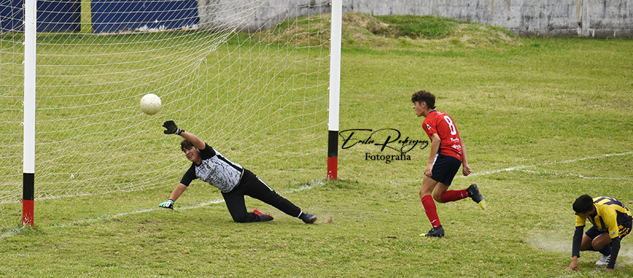 Lee más sobre el artículo Torneo transición: los finalistas en las seis divisiones