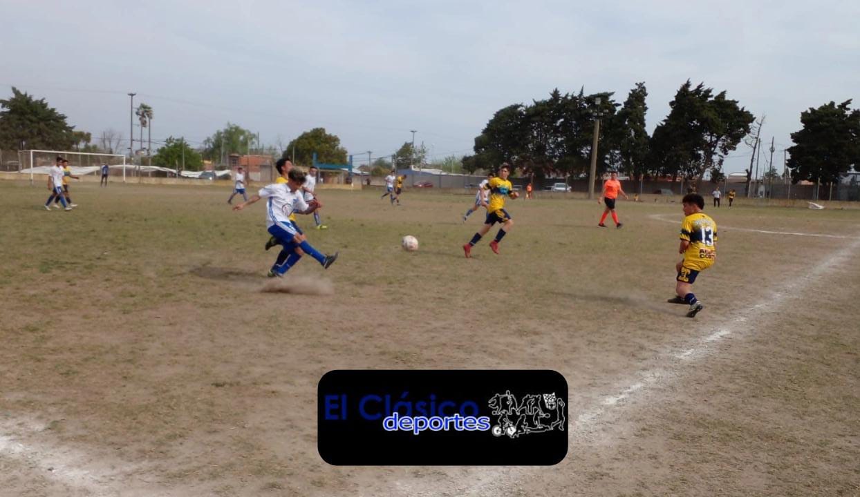 En este momento estás viendo Divisiones inferiores: Todos los resultados de la 8va. fecha!